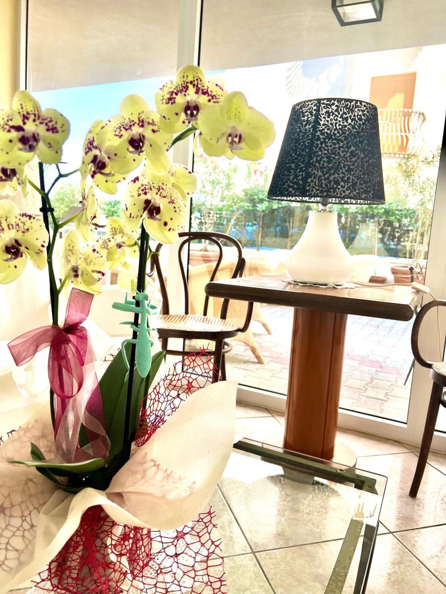 Hotel B&B Montecarlo Мілано-Маріттіма Екстер'єр фото